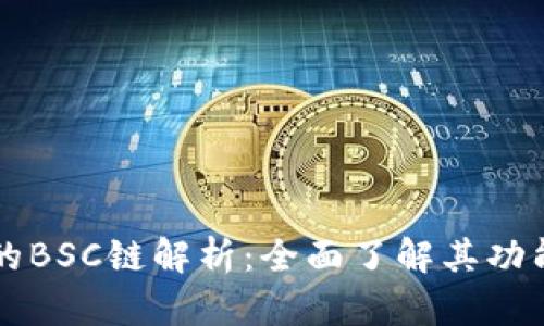 TP钱包的BSC链解析：全面了解其功能与应用