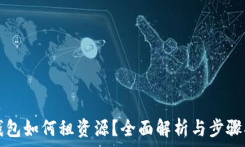   
TP钱包如何租资源？全面解析与步骤指南