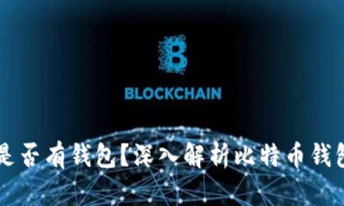 : 11年比特币是否有钱包？深入解析比特币钱包的演变与现状