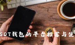 支持USDT钱包的平台推荐与使用指南